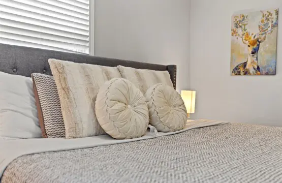 19e4816e d5a7 434e 8aa7 d52c6db5effc.jpg