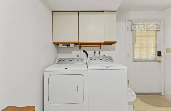 30954461 f224 4567 948b 58e97a98e5c9.jpg