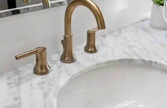 5bd976d5 cc29 4417 a8ef ba85dcdb77d2.jpg