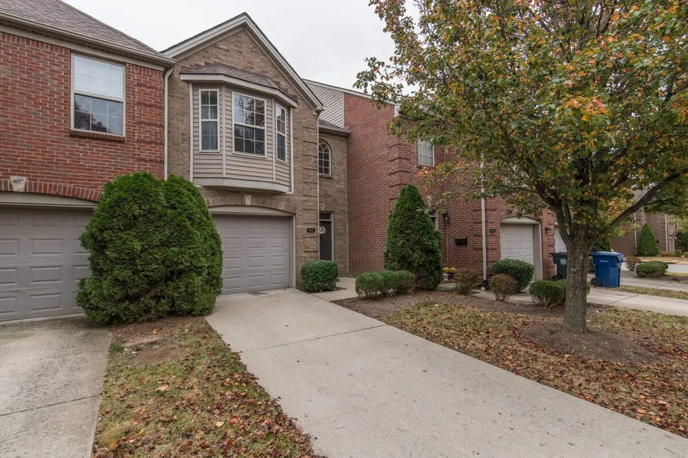 9c71542f b9dd 43ba 91f2 bb4477a86f78.jpg