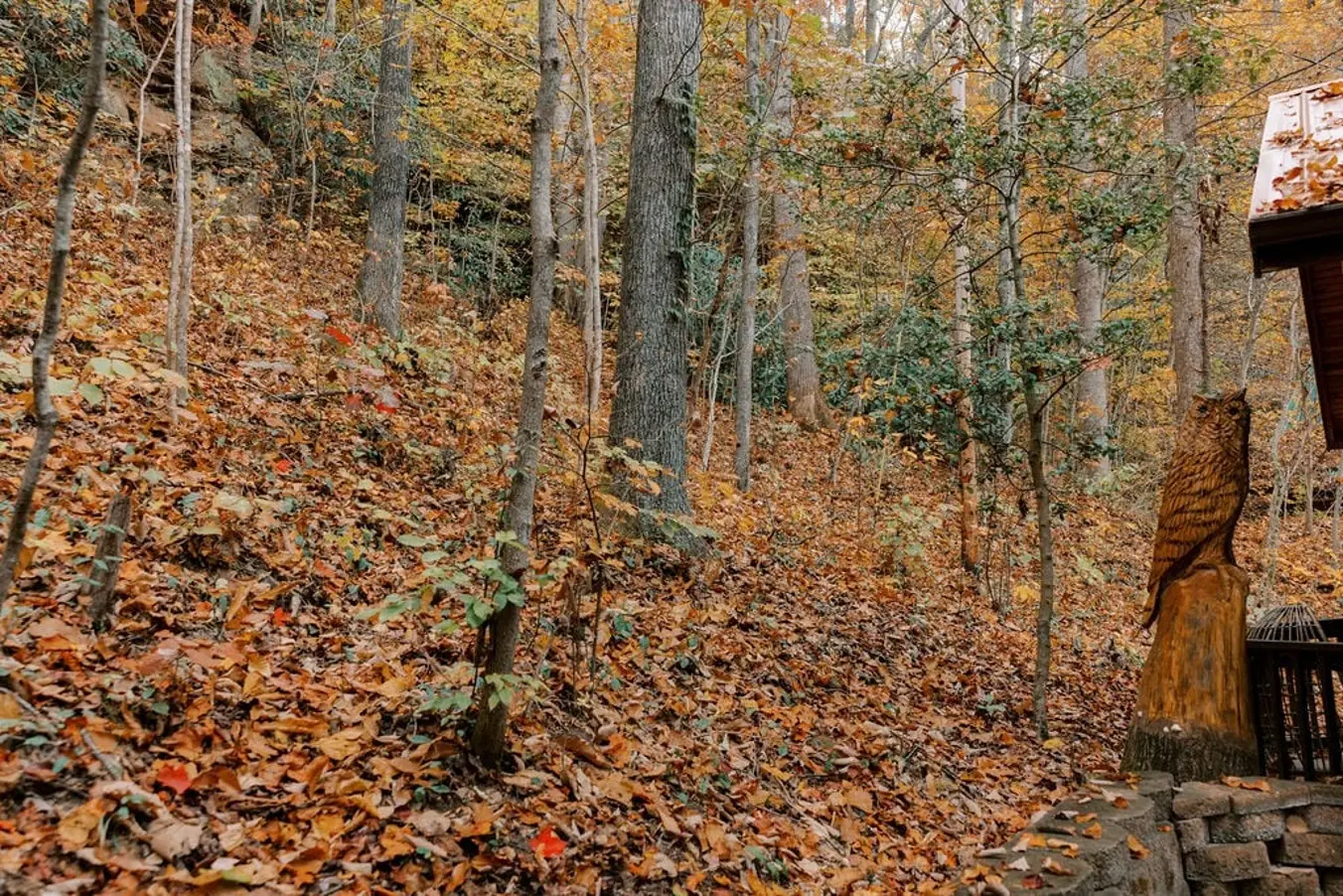 b8a4fcff ab9d 4d45 85f1 a6c8ffbca07b.jpg