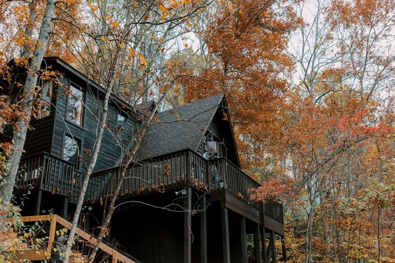 bac77a1d 94f1 42b1 9b92 c402149fe3f6.jpg