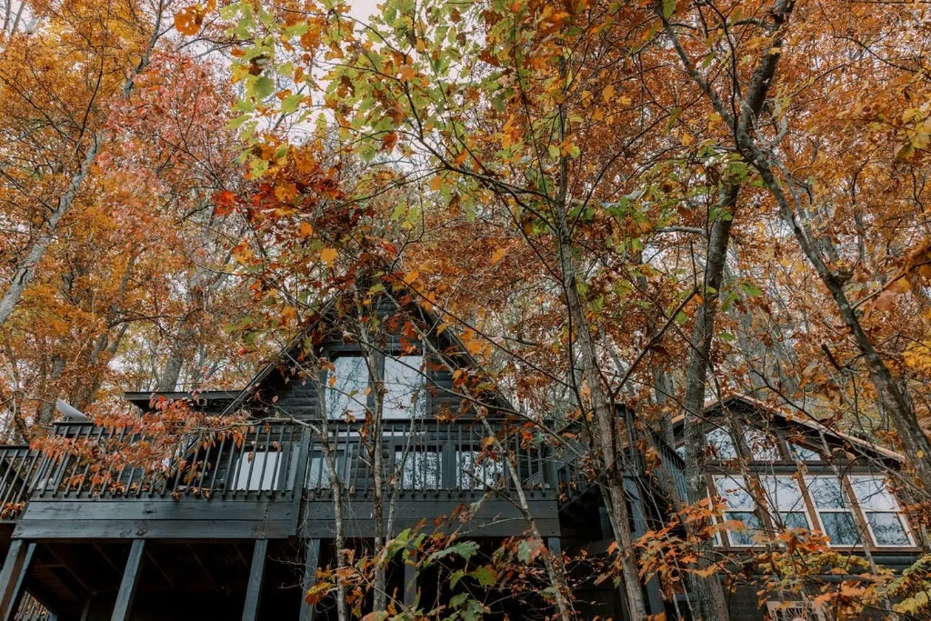 d48ac49a 76b4 436f 914c 8c3c38a882ef.jpg