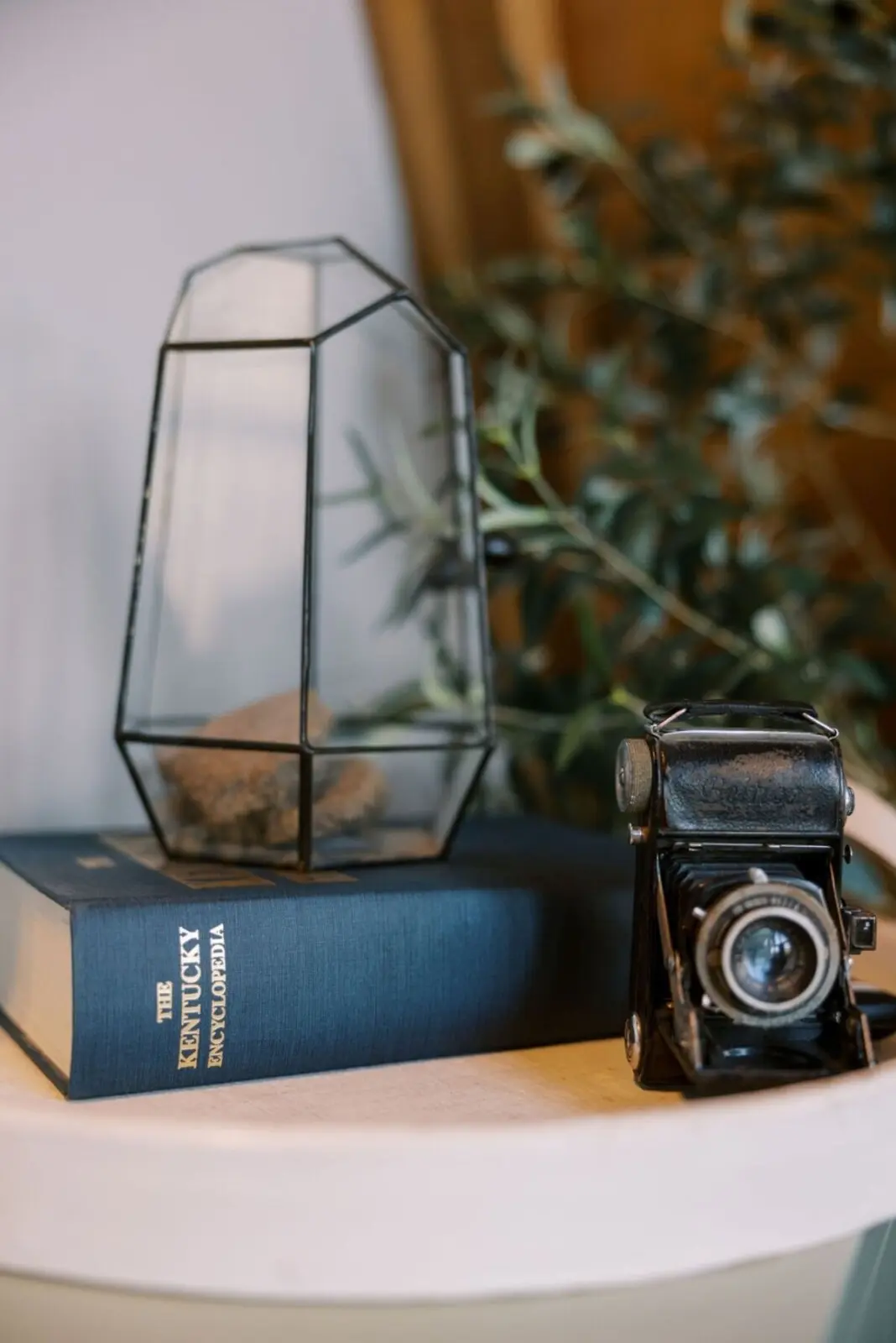 d7237a15 ad23 4566 8966 76acd126fddc.jpg