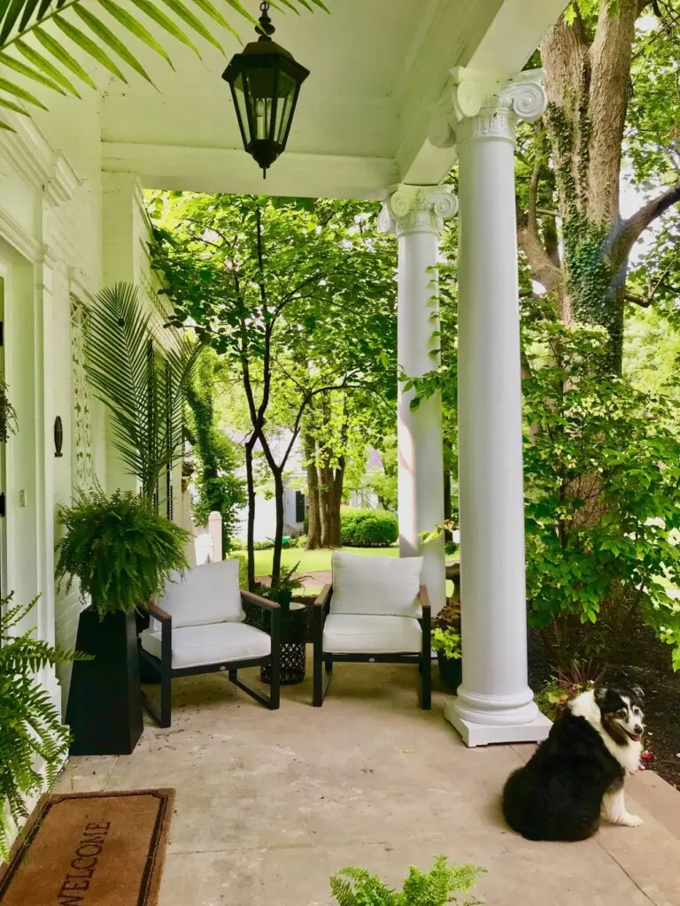 6475350e 4dab 43cb 9fc1 9f8e063212c0.jpg