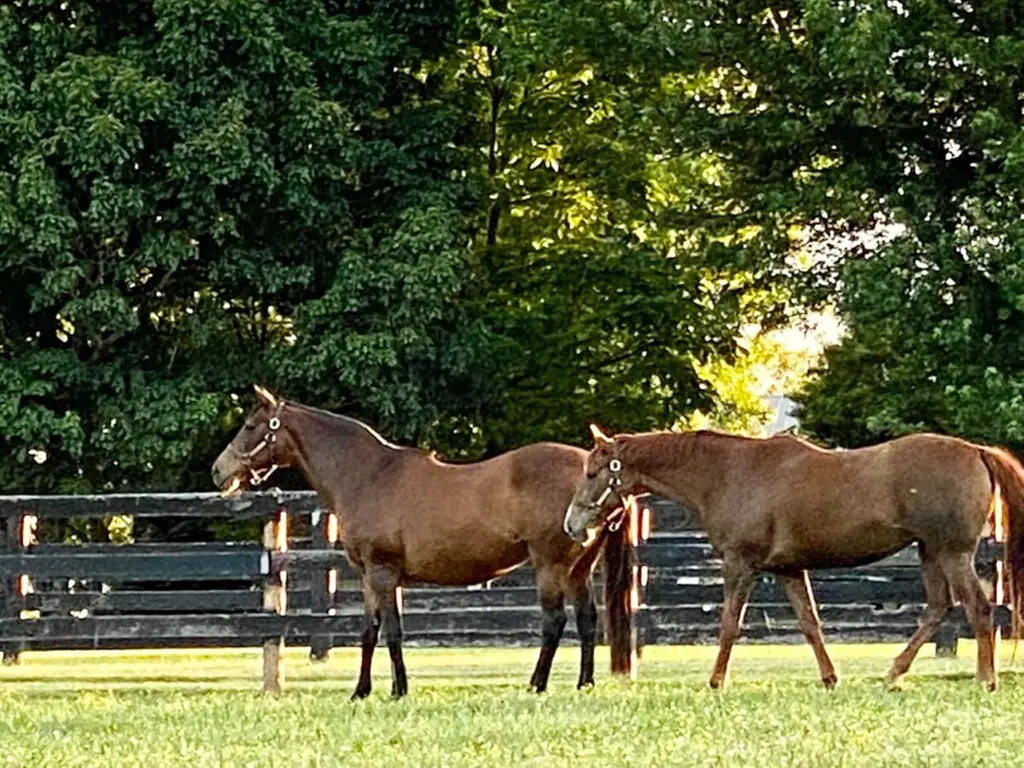 b2edf33d 7e9a 45d6 a32e 9b4076507242.jpg