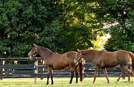 b2edf33d 7e9a 45d6 a32e 9b4076507242.jpg