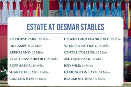 b019e965 9ddb 422f bf28 53146cef4ec8.jpg