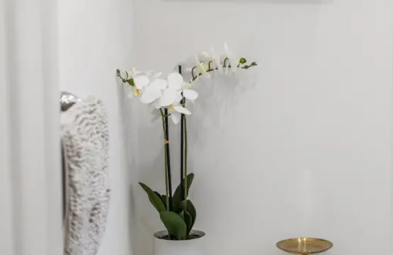 f6340e67 6c5b 48c7 a9b1 a3eb54233ac3.jpg